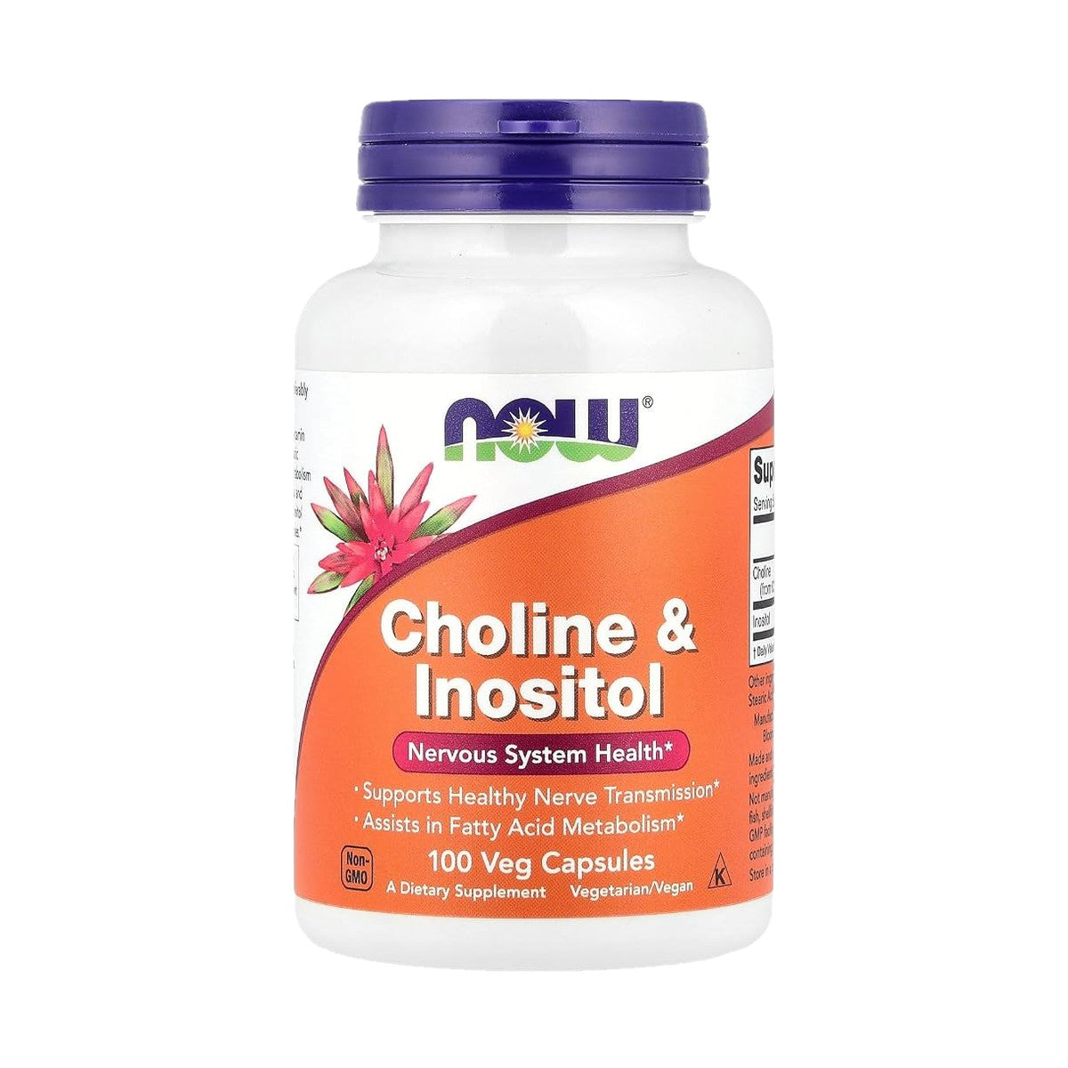 NOW FOODS CHOLINE & INOSITOL 500 MG, 100 CÁPSULAS