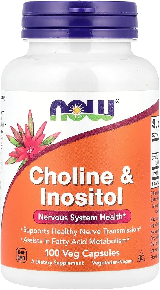 NOW FOODS CHOLINE & INOSITOL 500 MG, 100 CÁPSULAS