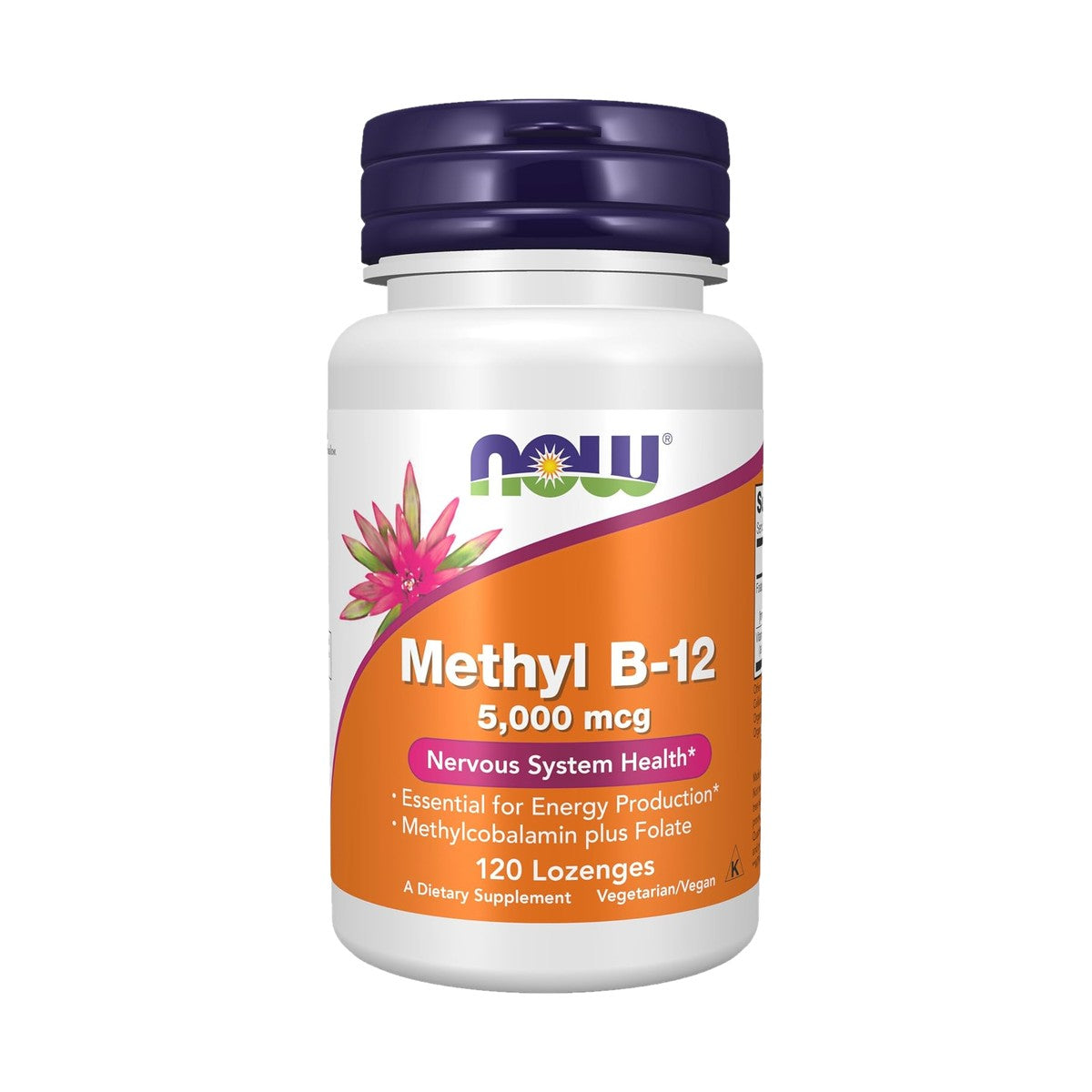 NOW Foods Methyl B-12 5000 mcg, pastillas